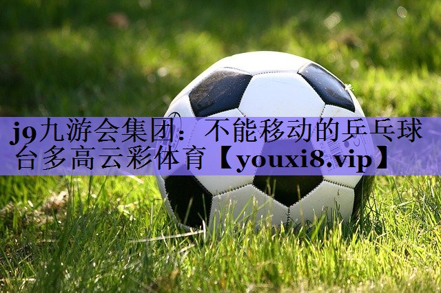 j9九游会集团:不能移动的乒乓球台多高云彩体育