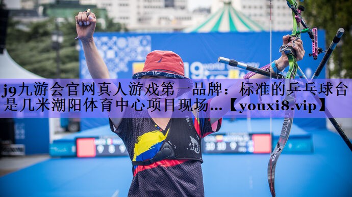 j9九游会官网真人游戏第一品牌:标准的乒乓球台是几米潮阳体育中心项目现场…
