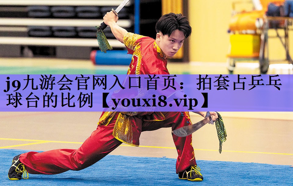 拍套占乒乓球台的比例